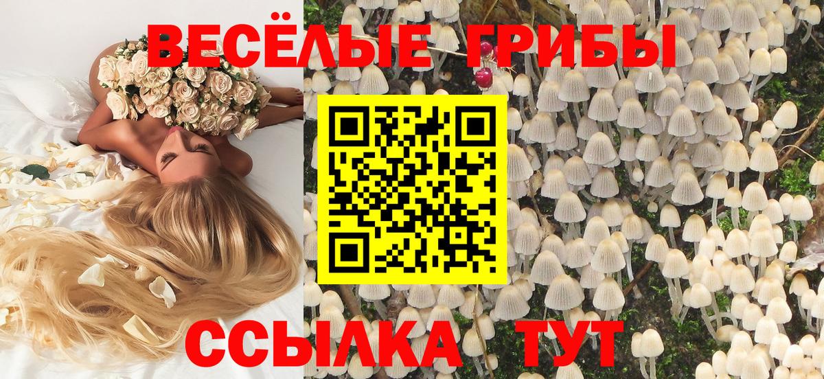 где можно купить наркотик  Галлюциногенные грибы GOLDEN TEACHER  Вход с VPN  Уссурийск 